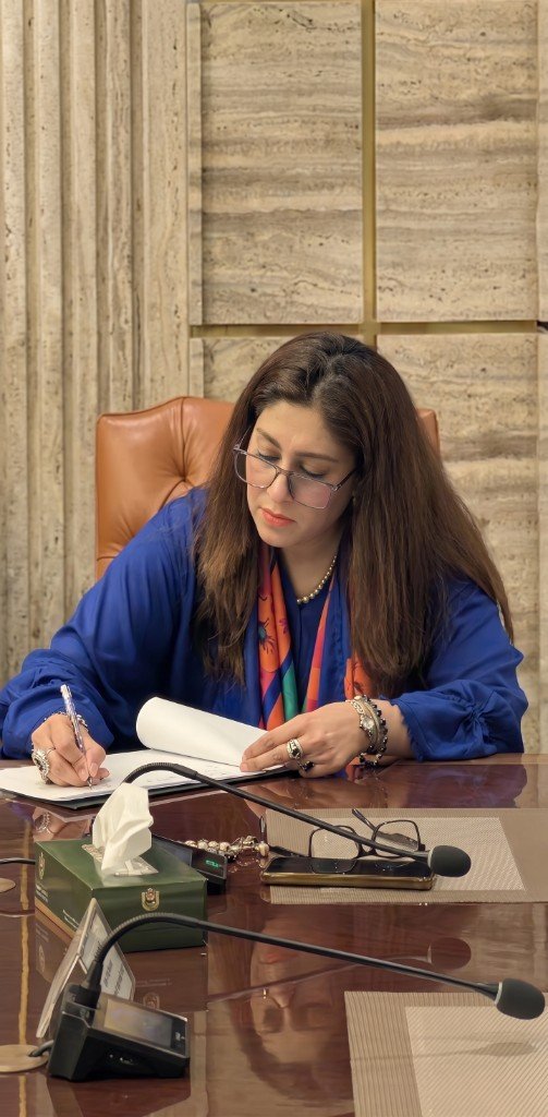 Rabia Raheel (Bia), Founder & CEO of Biaa's Interior
